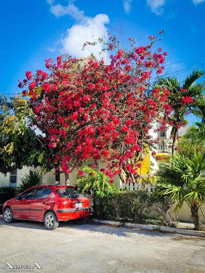 Apartament Tu Casa En El Caribe Cancún Zewnętrze zdjęcie