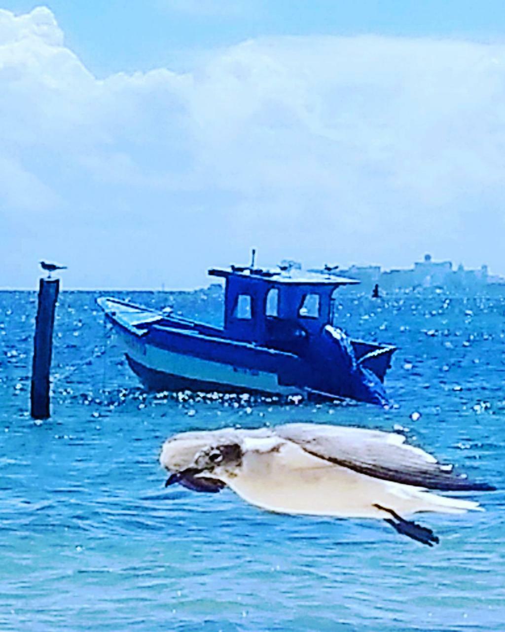 Apartament Tu Casa En El Caribe Cancún Zewnętrze zdjęcie